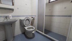 Sarhad Ville (D5), Condominium #345023871
